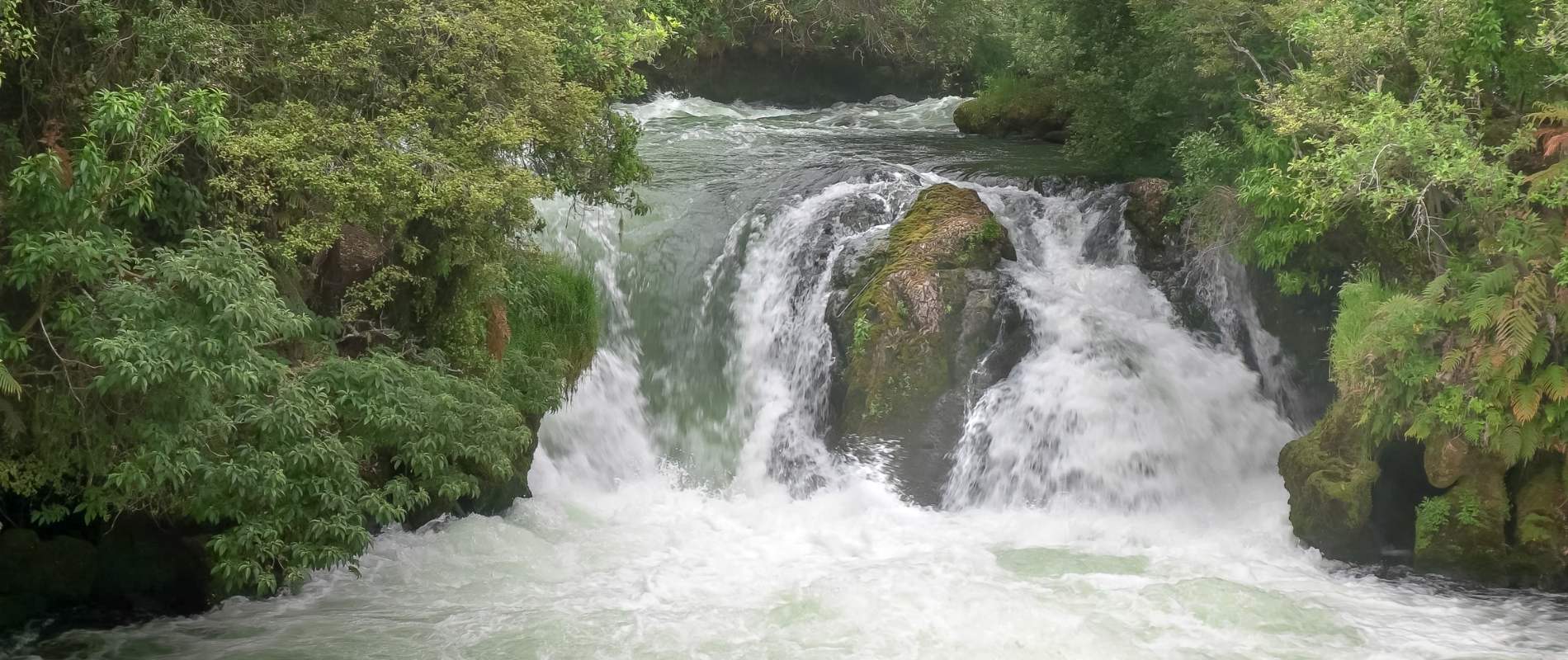 Okere Falls Walk