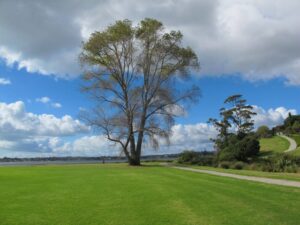 one of the view of Tahuna Torea nature Walk