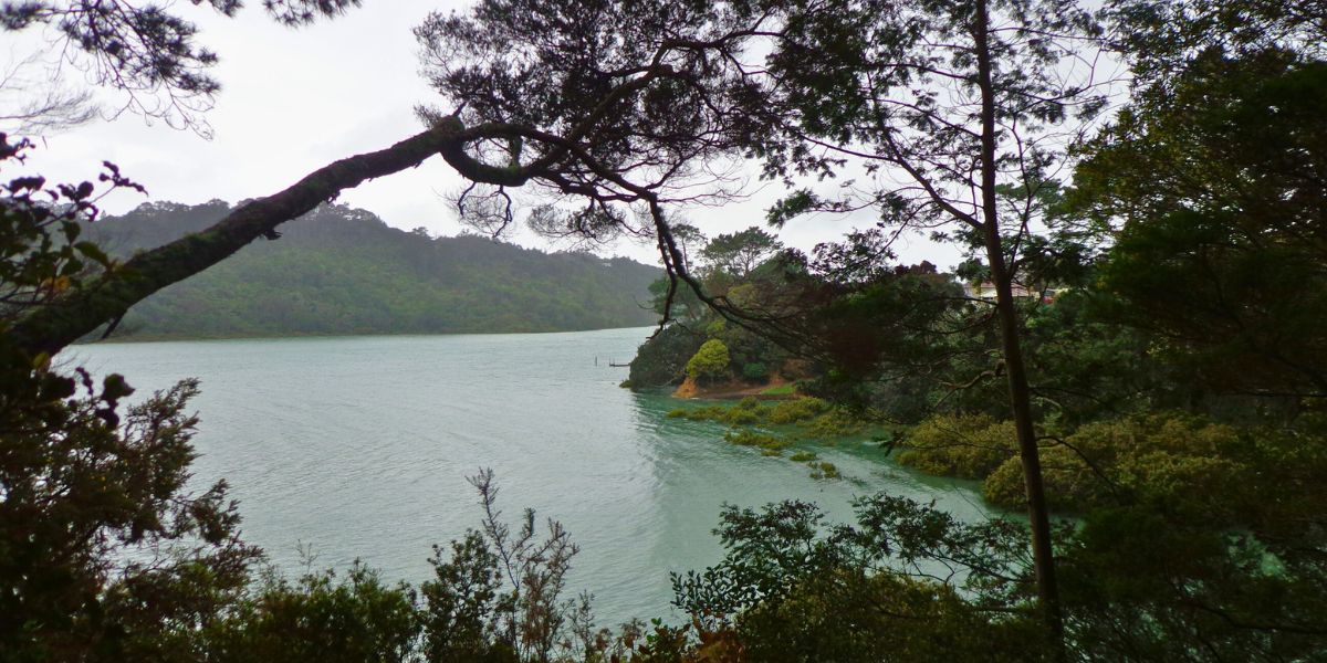 Views out to Beach Haven on the Coastal Walk