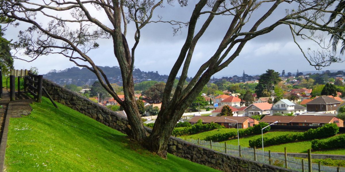 Views while walking up Mount Roskill in Auckland