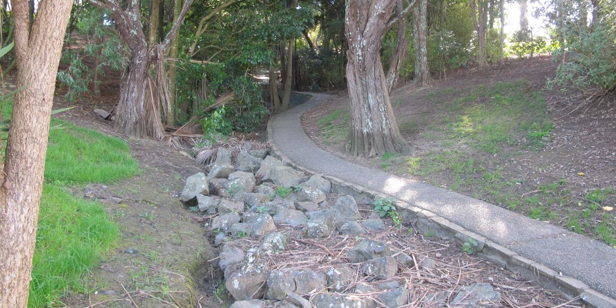 Walking track throug Grey Lynn Park