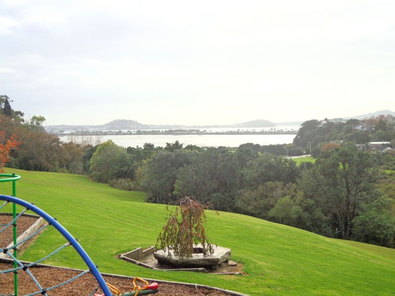 Great views out to Mt Victoria, North Head and Rangitoto from Hobson Bay Walkway