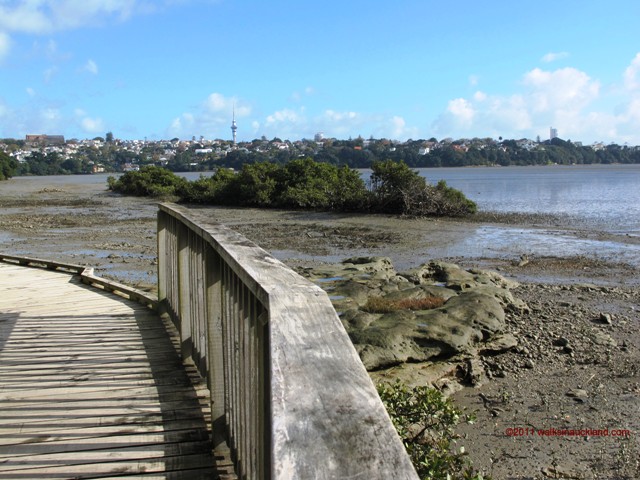 Hobson Bay city view