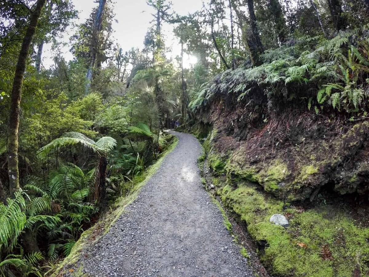 Lake Matheson quality track