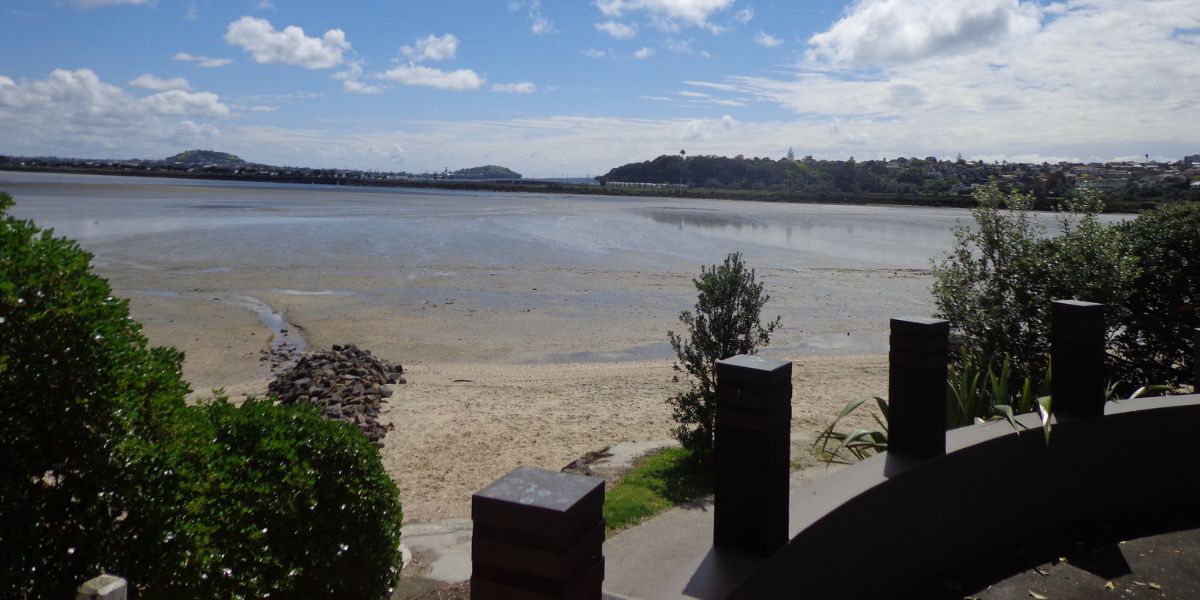 Looking out over Hobson Bay near Parnell