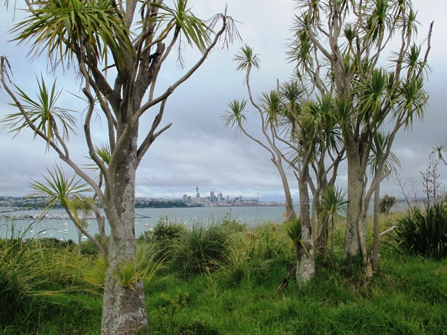 one of the view along our MJ Savage Memorial Park walk