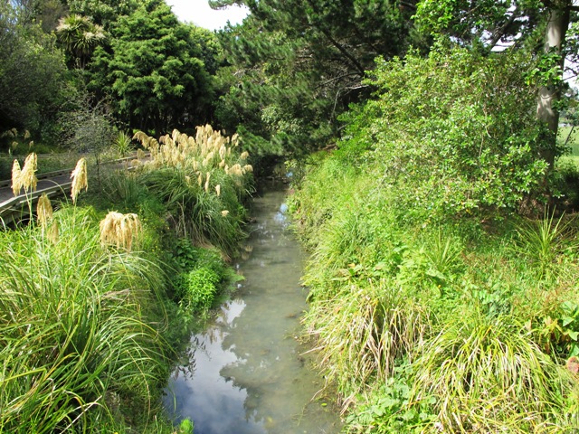 View to wild bush and small river