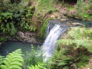 The Oakley Creek Te Auaunga whirlpool or swirling waters
