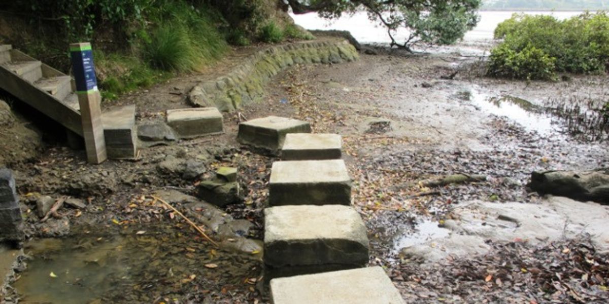 Path on Hobson Bay Walk