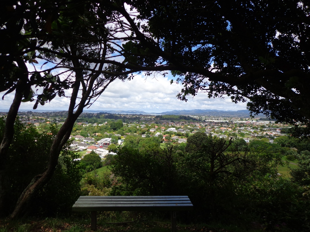bench under the tree with great city view