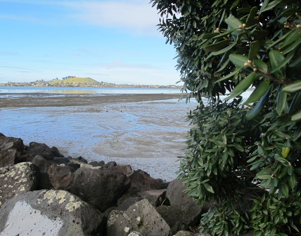 View of Mangere Mountain from Onehunga Foreshore. The Foreshore has since been turned into Taumanu Reserve.