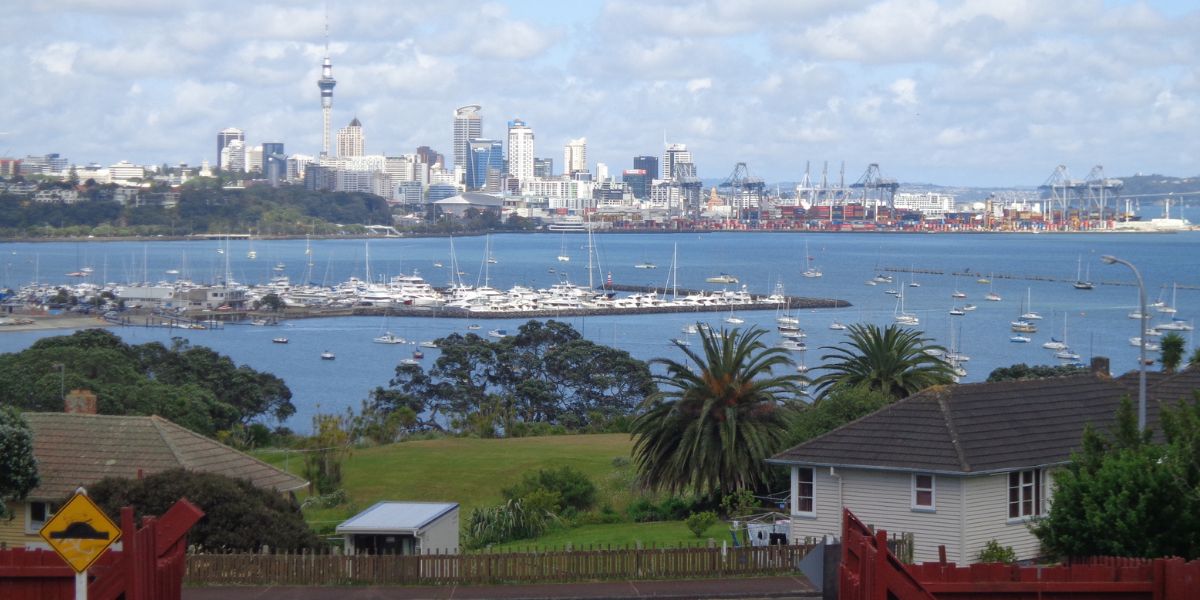 Views across to Auckland city from MJ Savage Park