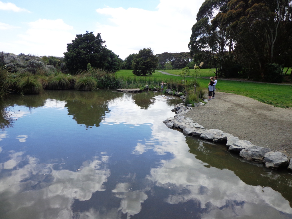 2 woman standing near the pond