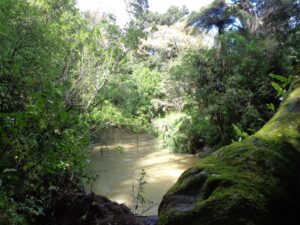 Albany Reserve Loop