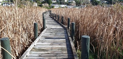 Kohuroa Park Boardwalk