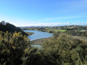 Mangemangeroa Reserve Walking