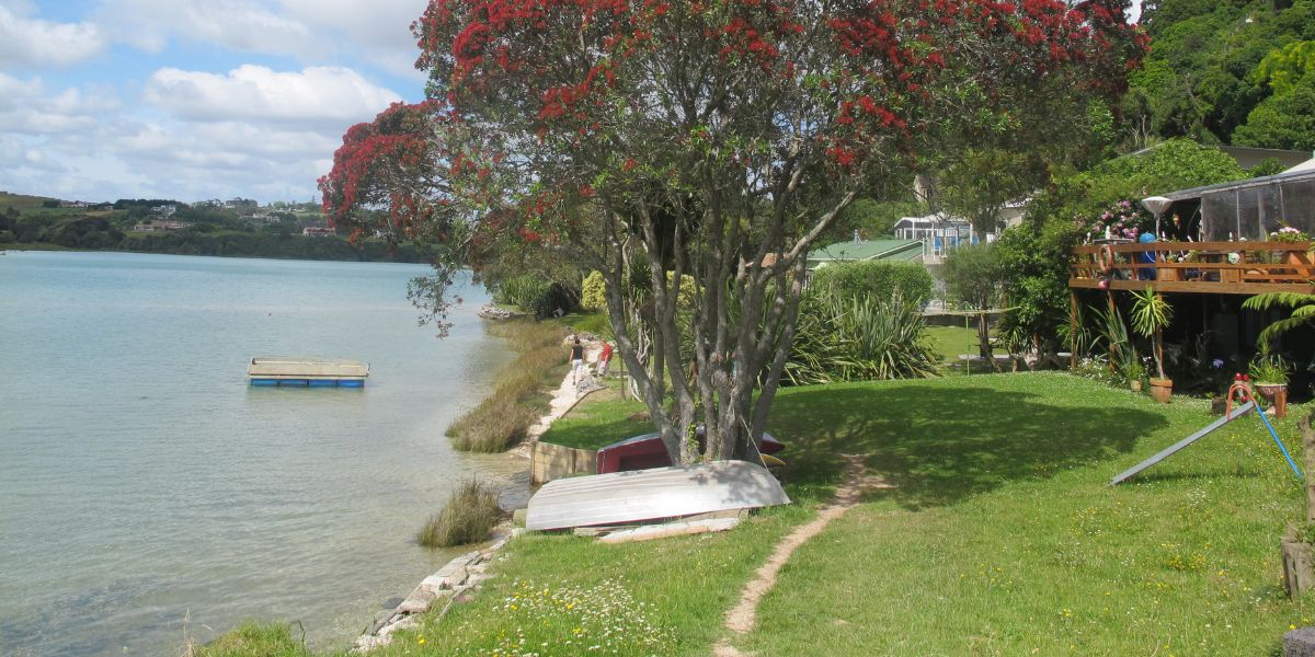 Mangemangeroa reserve walking along the coastal bush track