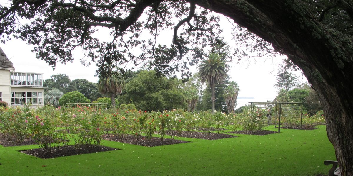 Parnell Rose Gardens