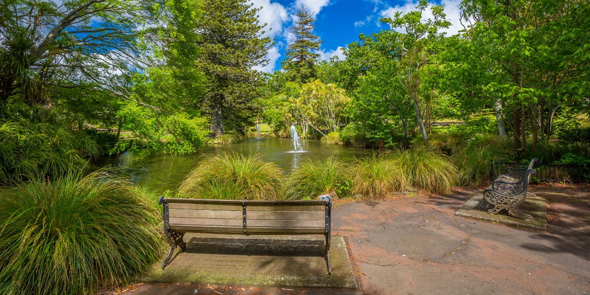 Seat overlooking the pond at Auckland Domain