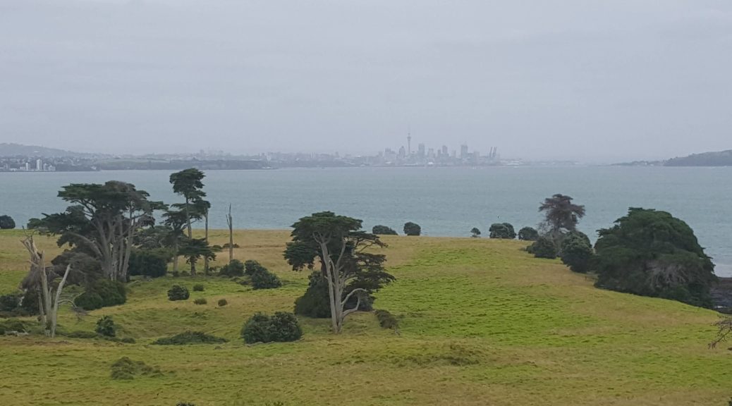 View of Auckland City from the summit of Browns Island