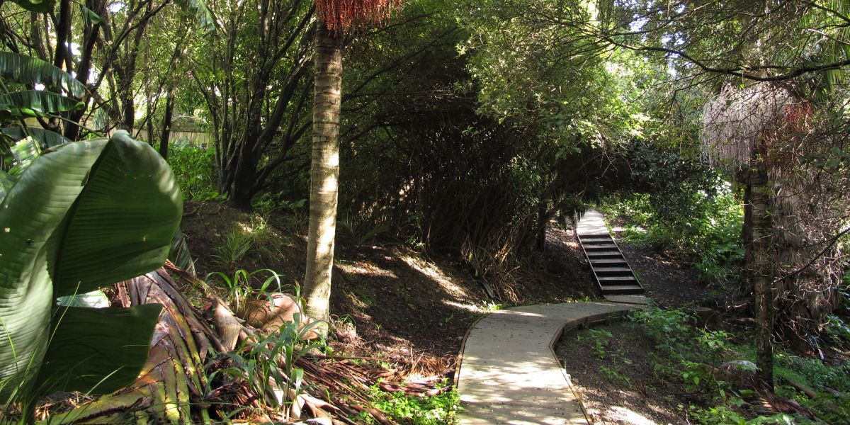 Walking track through urgan bush in Auckland near Parnell Markets (1)