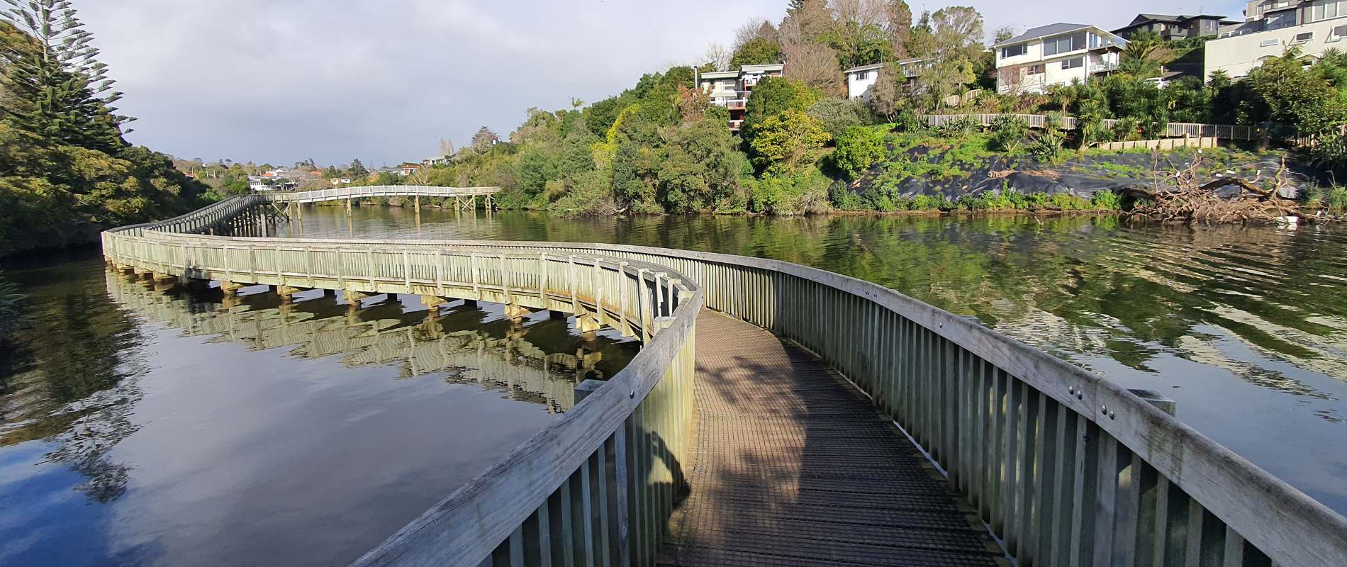 Boardwalk on a typical walk in Auckland central