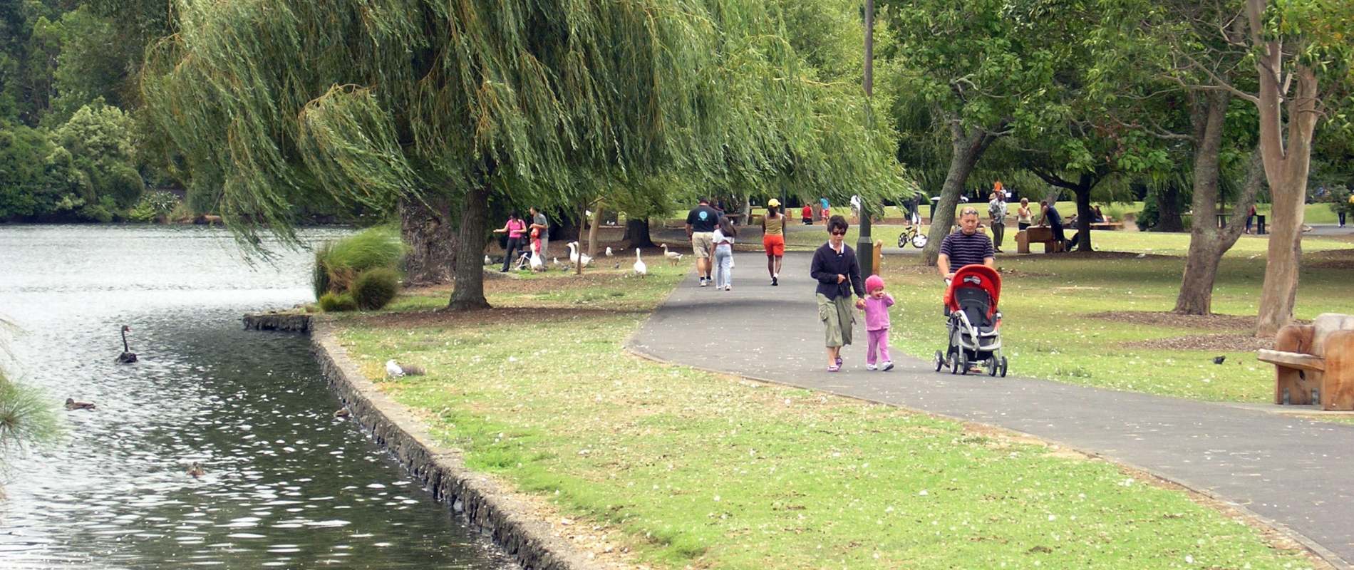 Families walking in Western Springs and Meola Reef