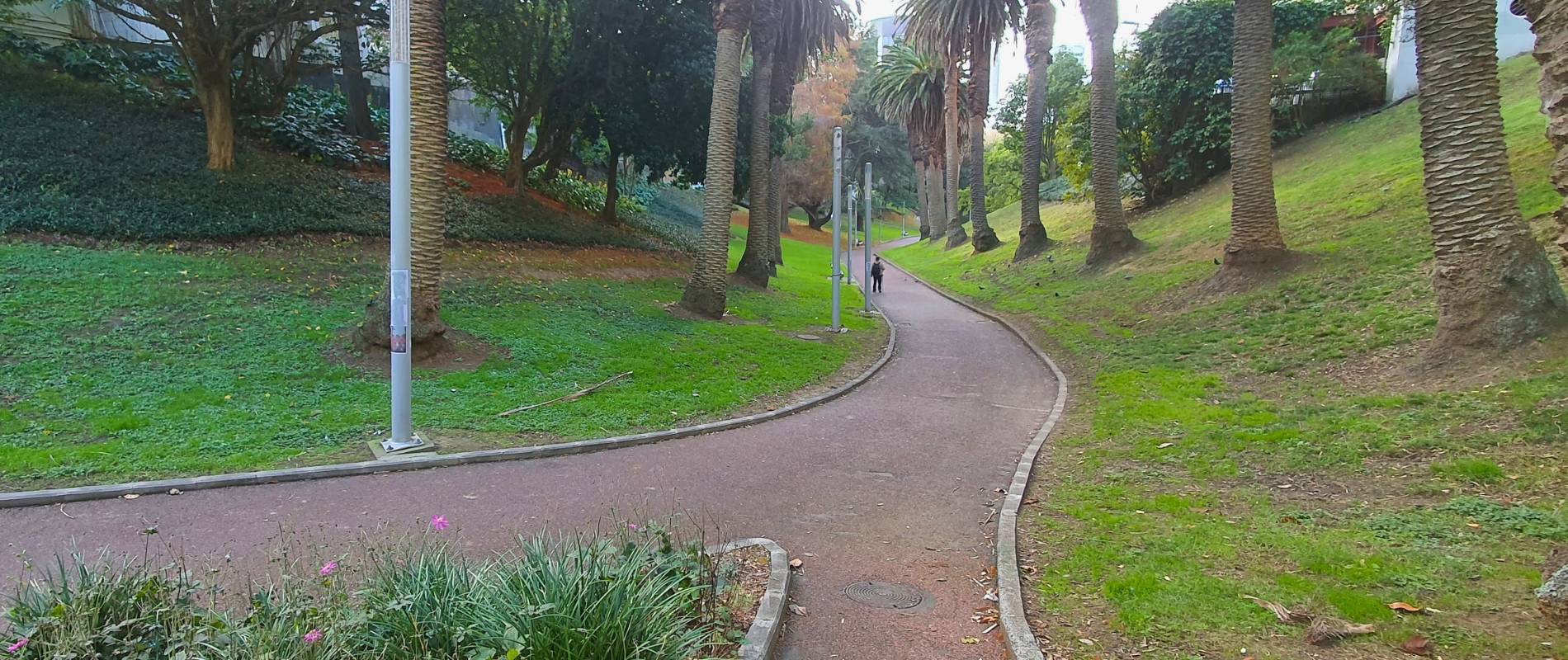 Meyer Park Path near the University of Auckland Grafton Campus