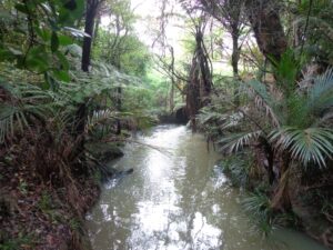 Murphys Bush Scenic Reserve