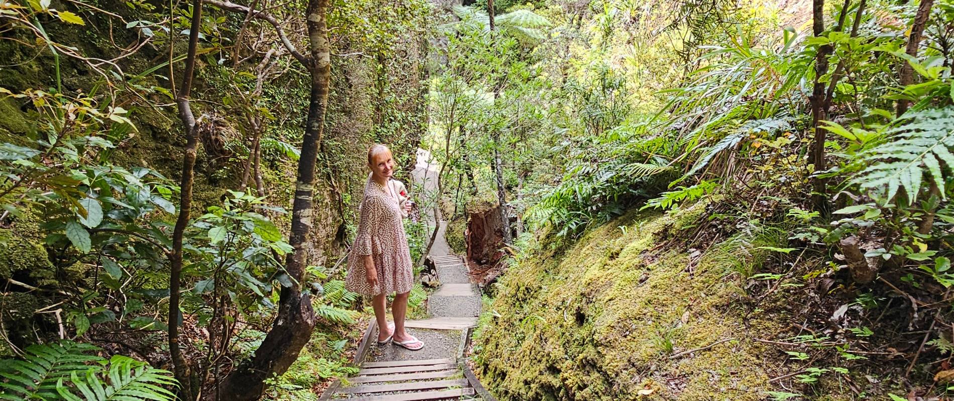 Sandra on the steps on the Windy Canyon Lookout Walk, Great Barrier Island