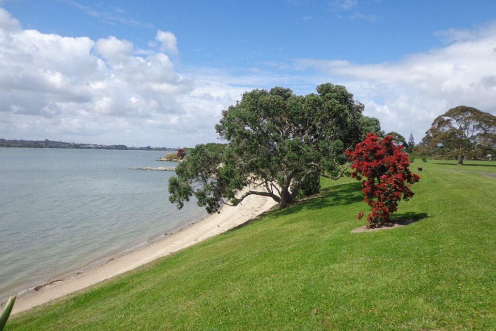 Stunning beach at Point England (1)
