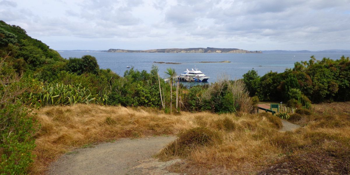 Tiritiri Matangi Ferry on the Island Walk