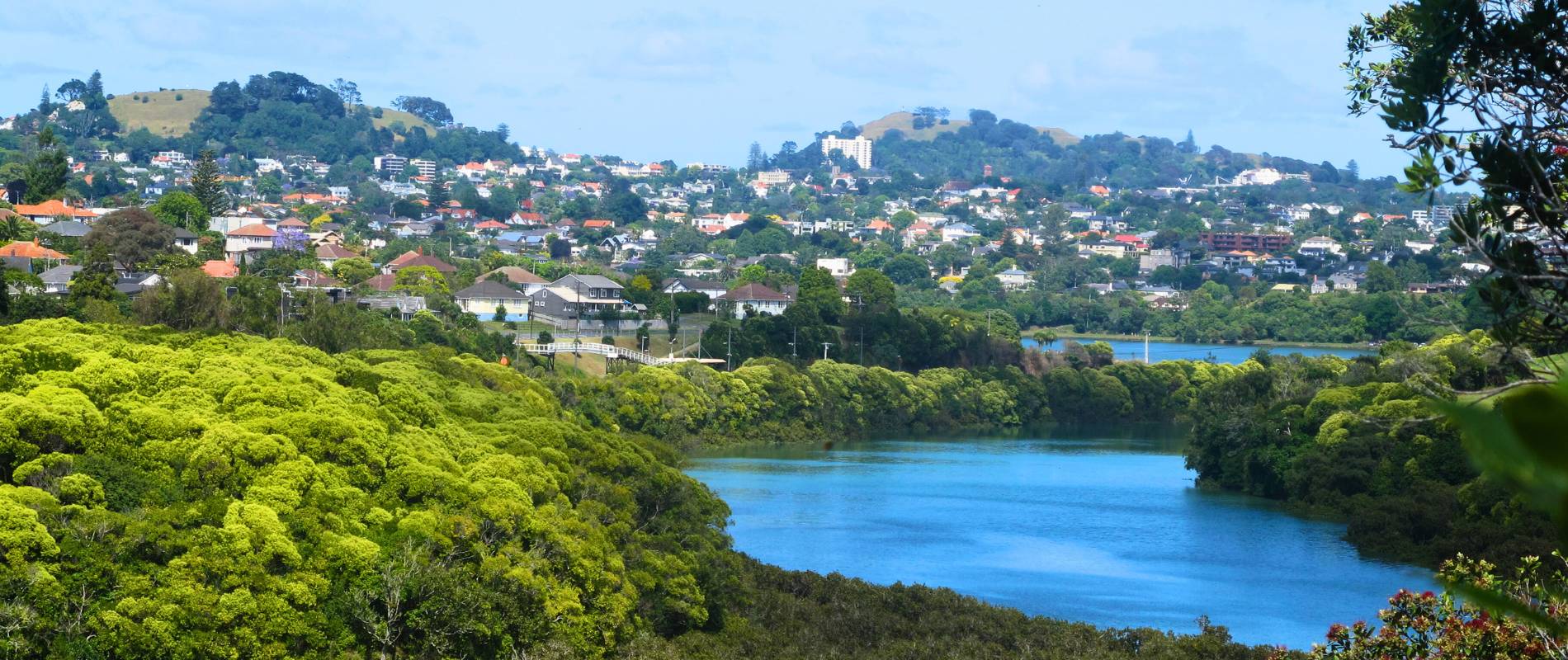 View from Kepa Bush Reserve looking at the 2 Auckland Volcanos