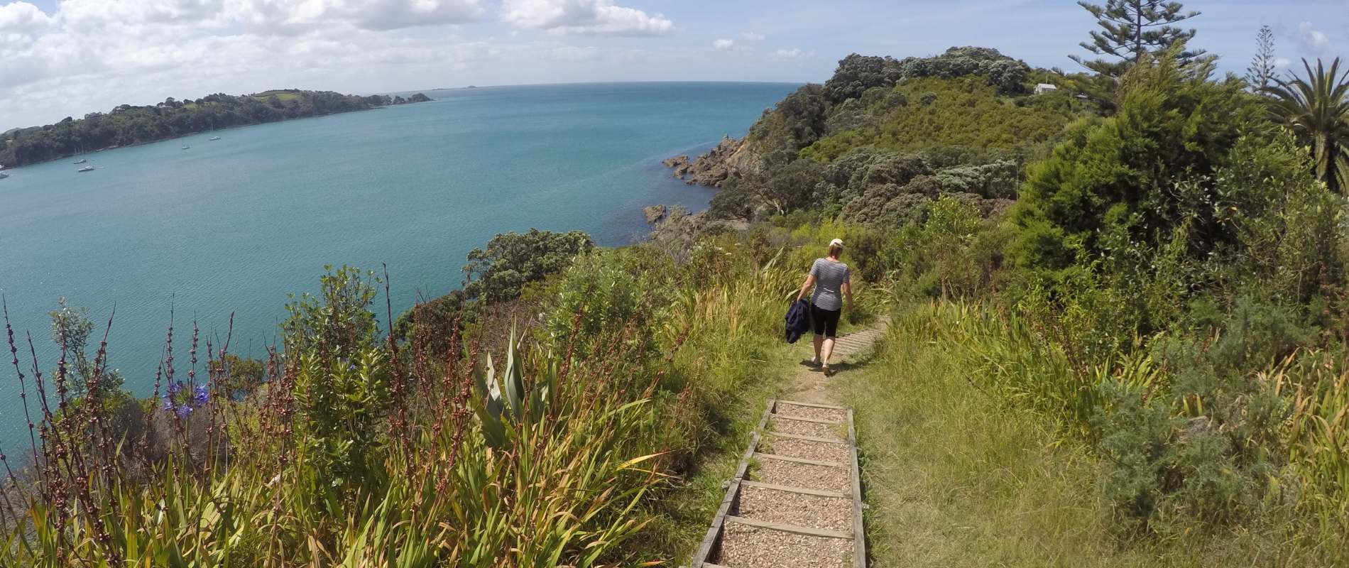 Waiheke Island Walkways and Vineyards