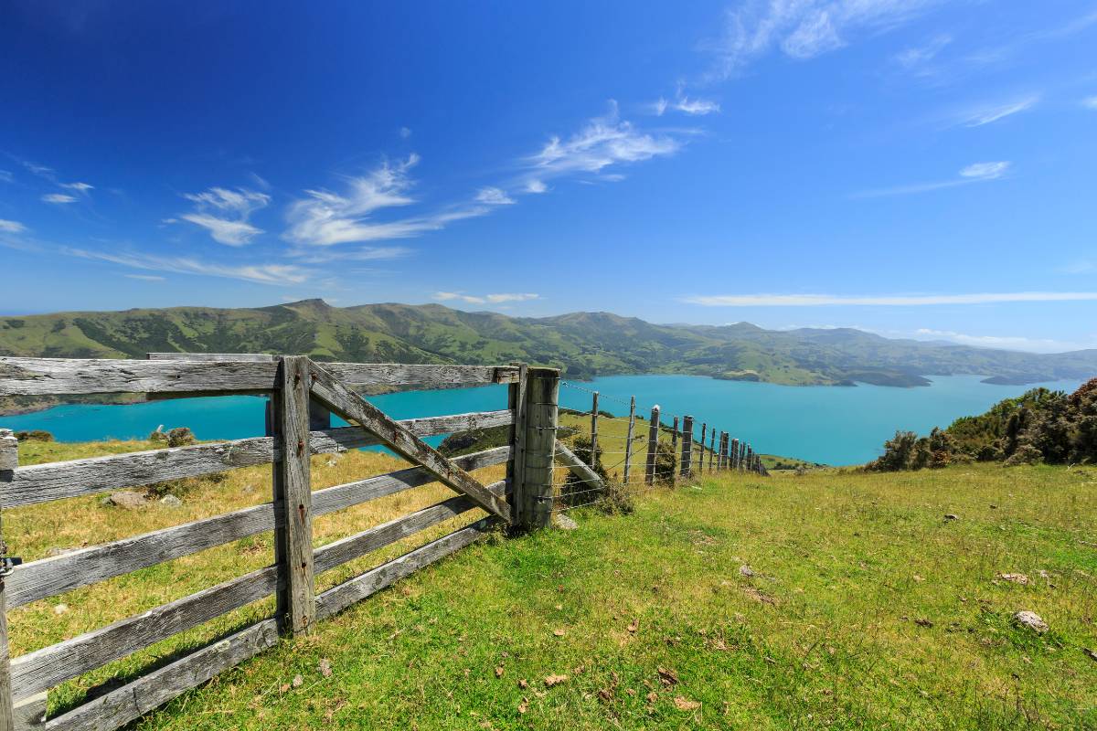 Walking at Banks Peninsula with views to the ocean near Christchurch