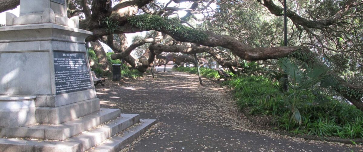 Auckland Walks and Hiking Guide | Freewalks.nz