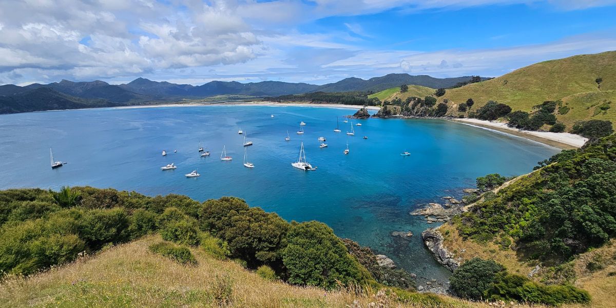 Whangapoua North Bay looking down at both beaches at Great Barrier