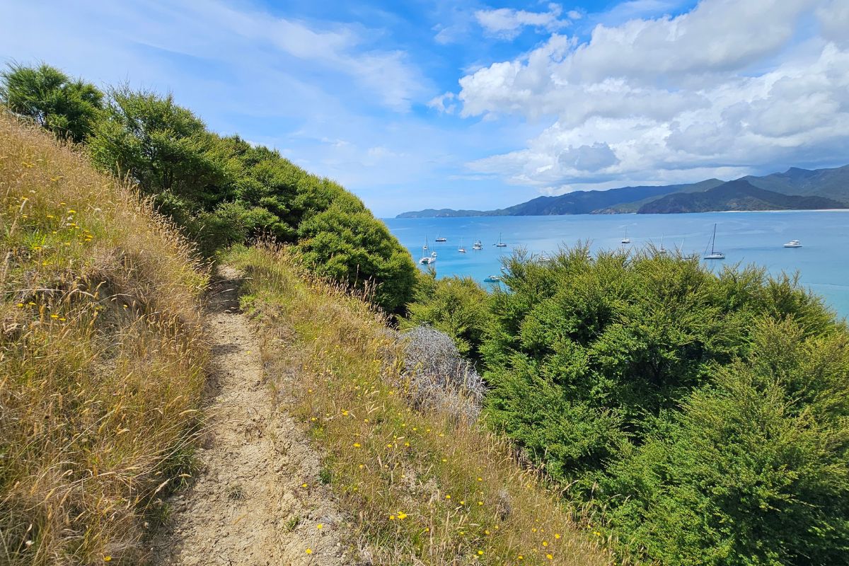 Photos from my walk at Whangapoua Bay on Great Barrier Island