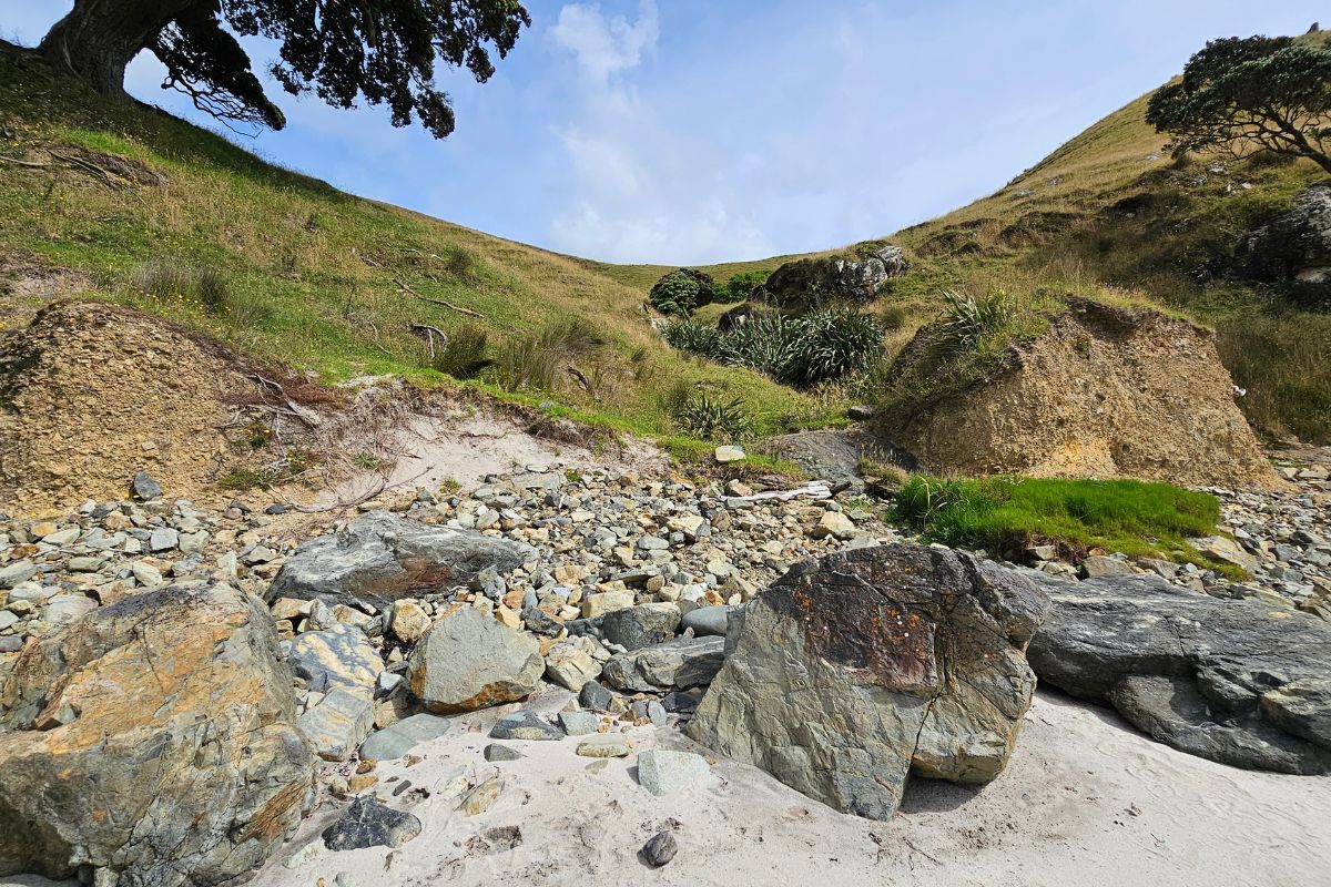 Photos from my walk at Whangapoua Bay on Great Barrier Island