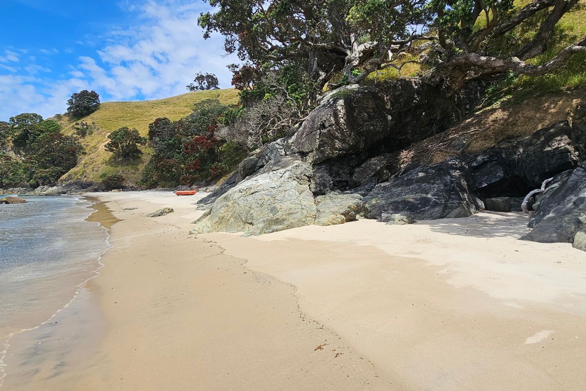 Photos from my walk at Whangapoua Bay on Great Barrier Island