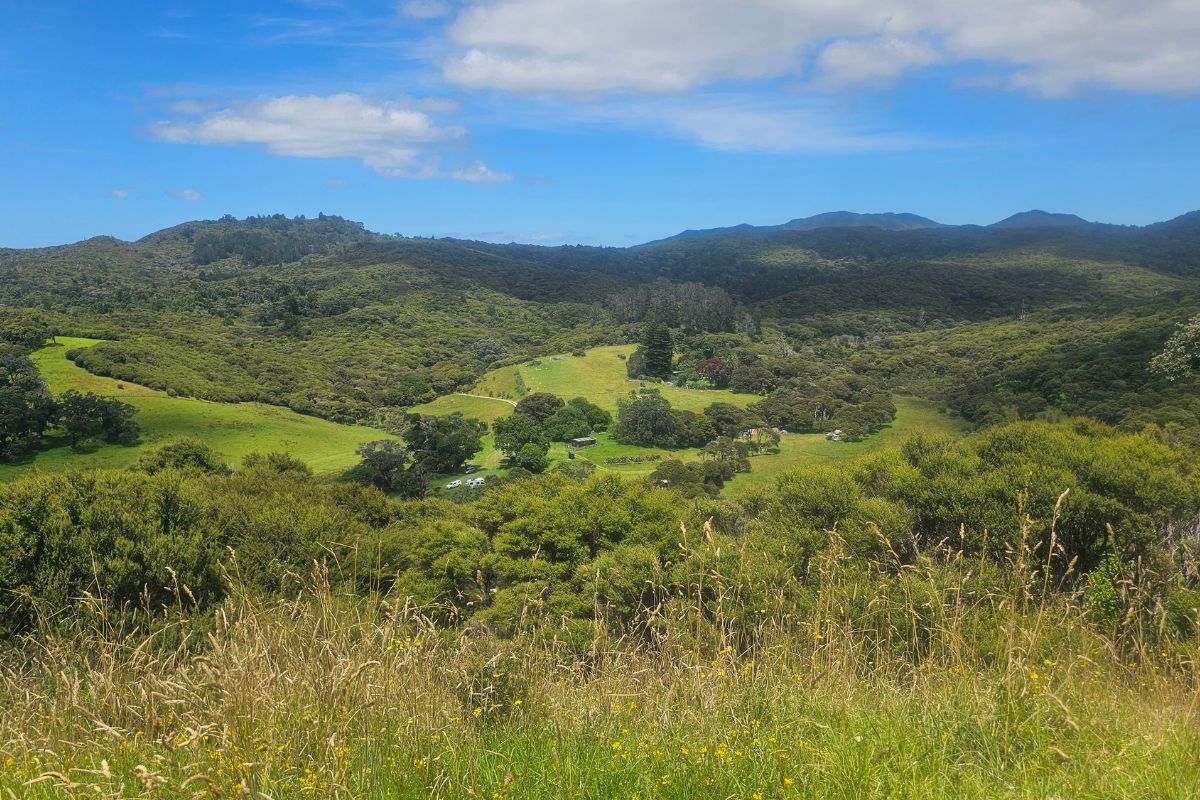 Photos of my Harataonga Loop Walk at Great Barrier Island (1)