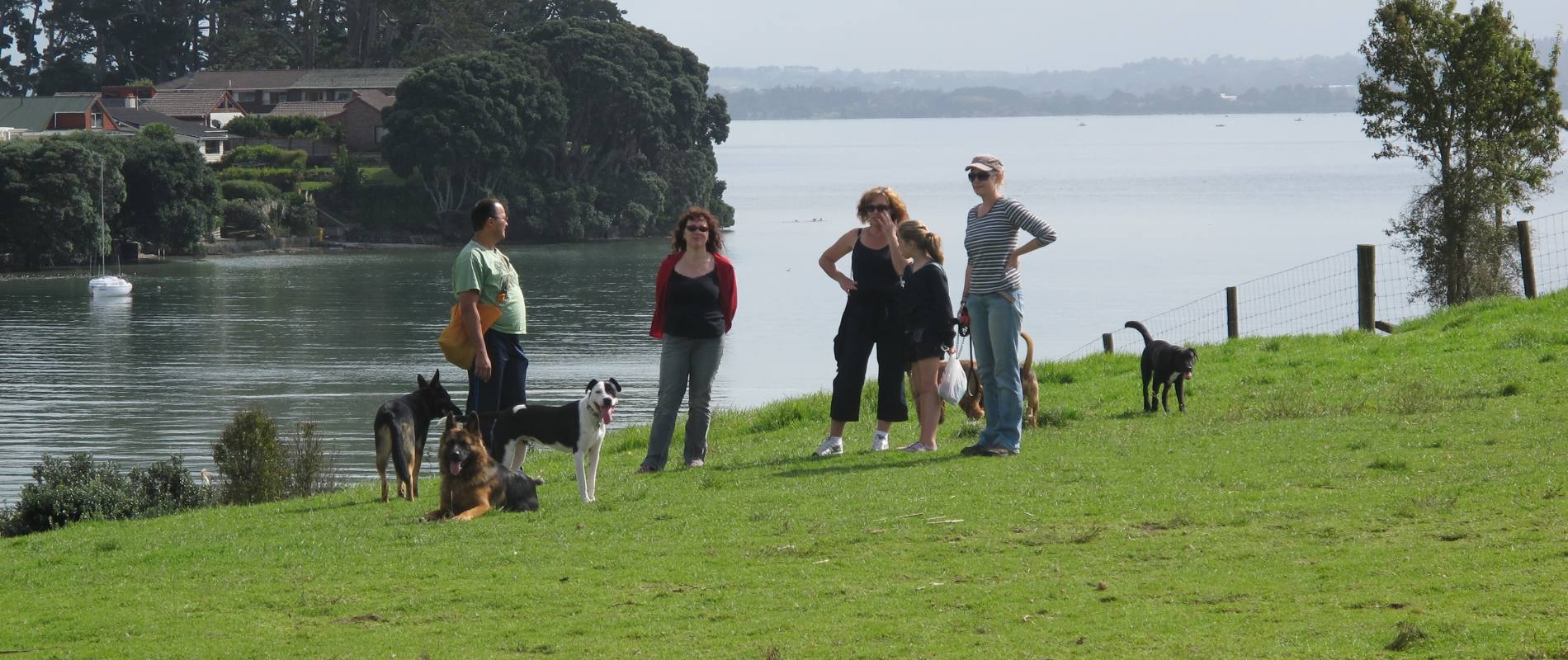 Dog friendly off leash areas in Auckland