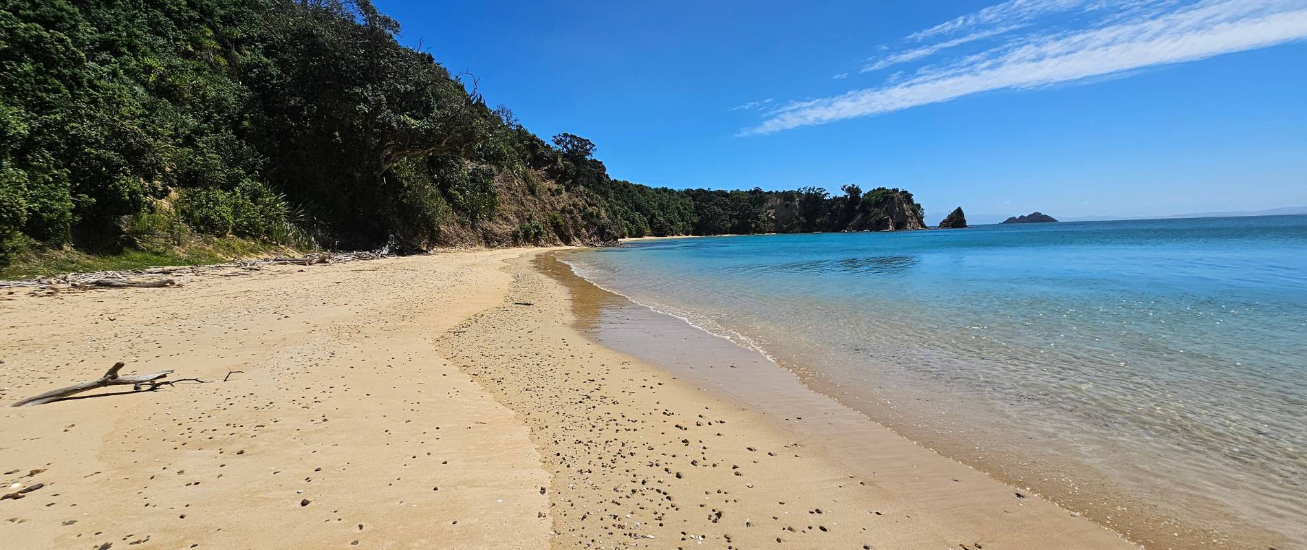 Hauraki Gulf Walks