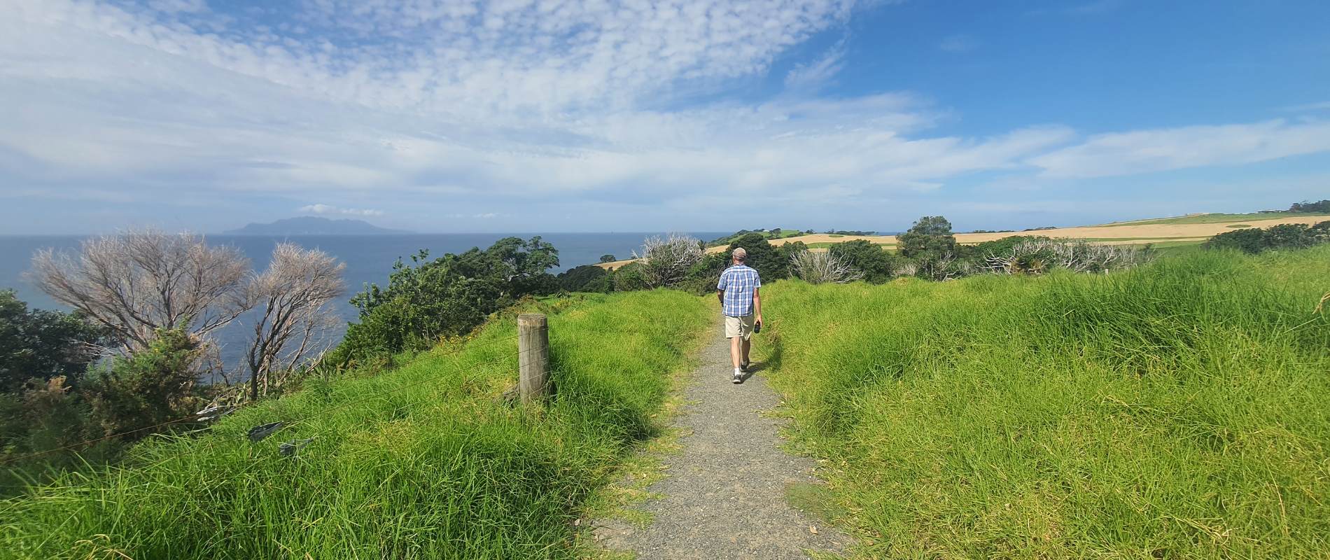 Health benefits of walking