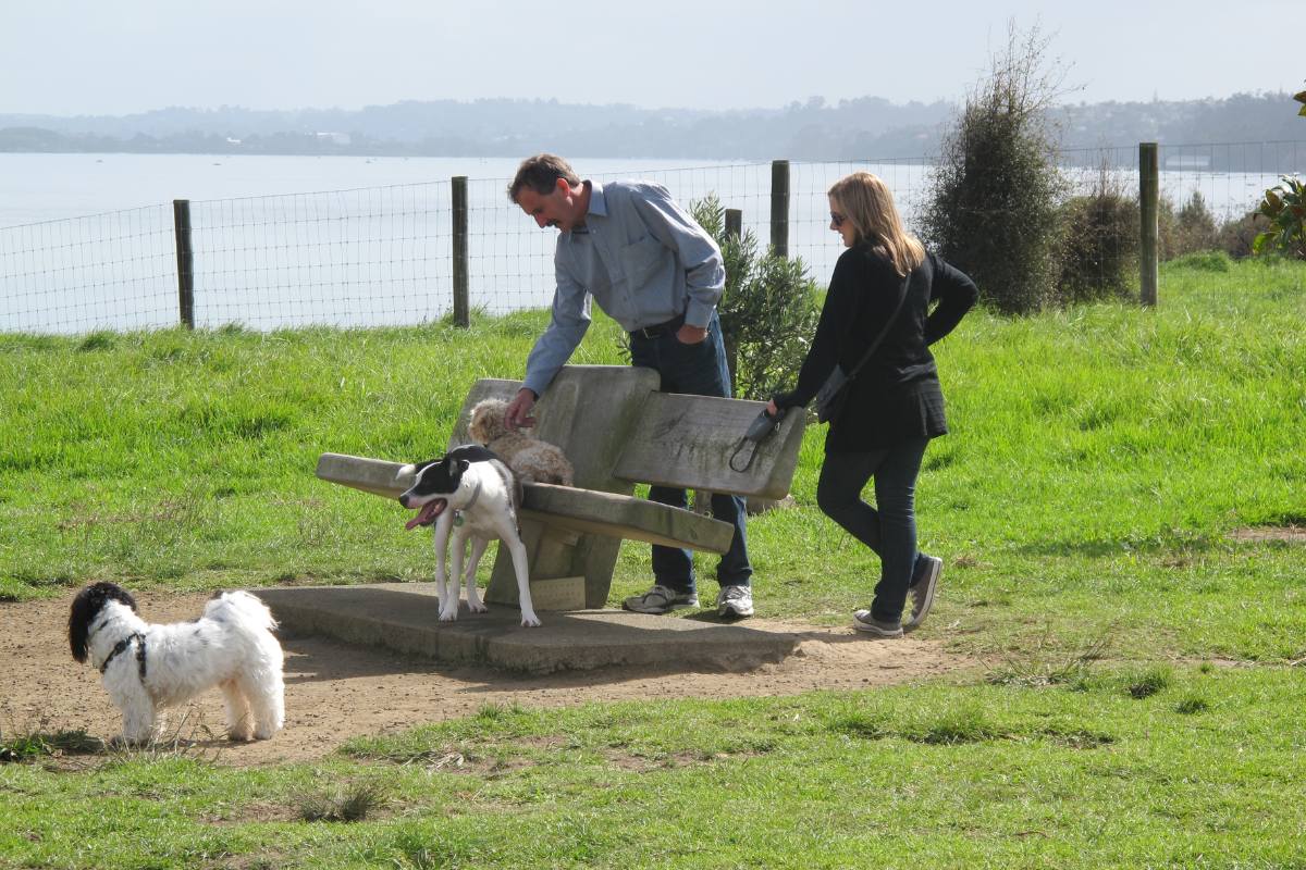 Off leash dog friendly parks in Auckland
