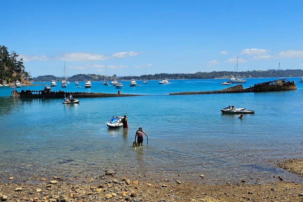 The Rewa wreck