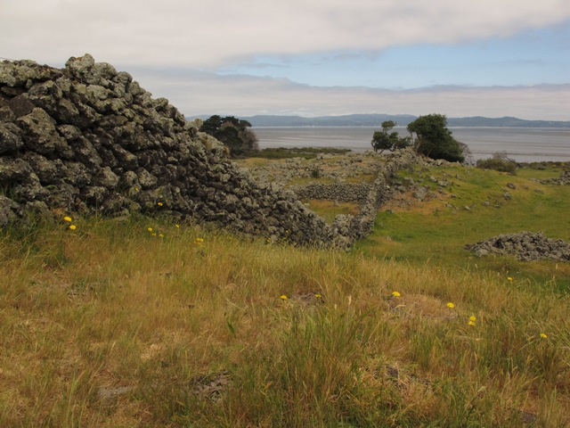 Things to do in Auckland - Stonefields