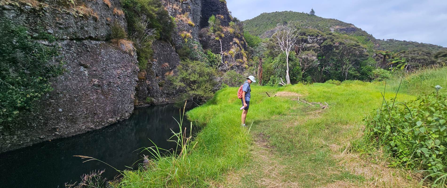 Wairakau Stream Track