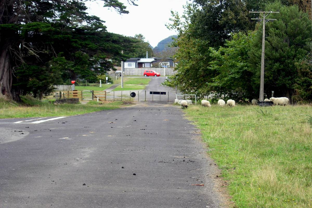 Martha Goldmine Pit Rim Walkway in Waihi