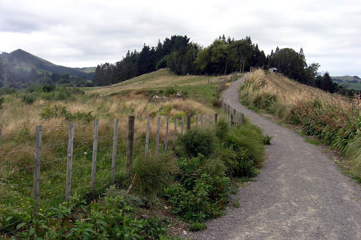 Martha Goldmine Pit Rim Walkway in Waihi